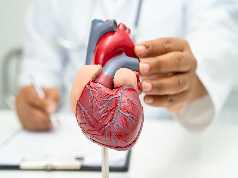 What is Cardiovascular Disease (CVDs)?