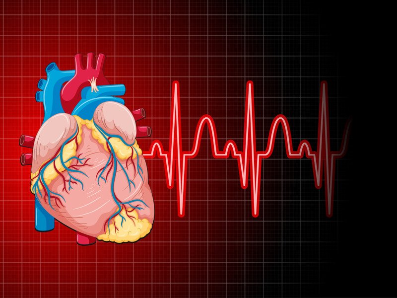 Heart Valve Disease: Causes, Symptoms, and New Treatment Options